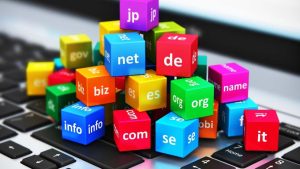 Read more about the article What is a Domain Name? Types, Importance, Registry