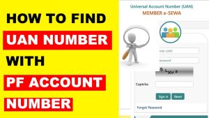 Read more about the article How to Know / Get Your UAN Number From PF, PAN, Aadhar Number 
