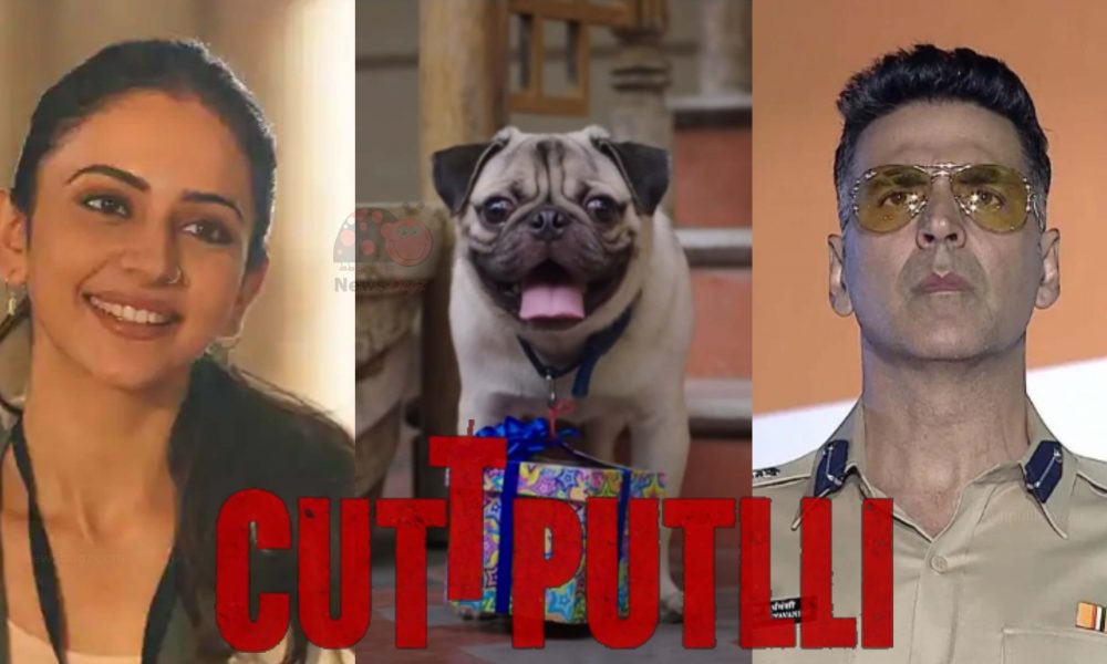 You are currently viewing Cuttputlli Movie (2022) on DisneyPlus Hotstar: Kathputli Cast, Trailer, Release Date Hindiscitech