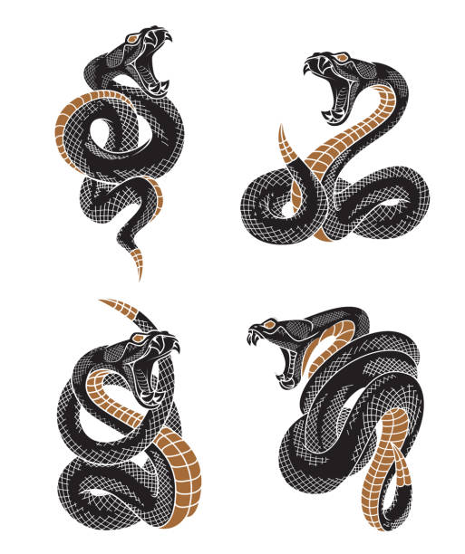 Symbolic Meanings of Snakes tattoos